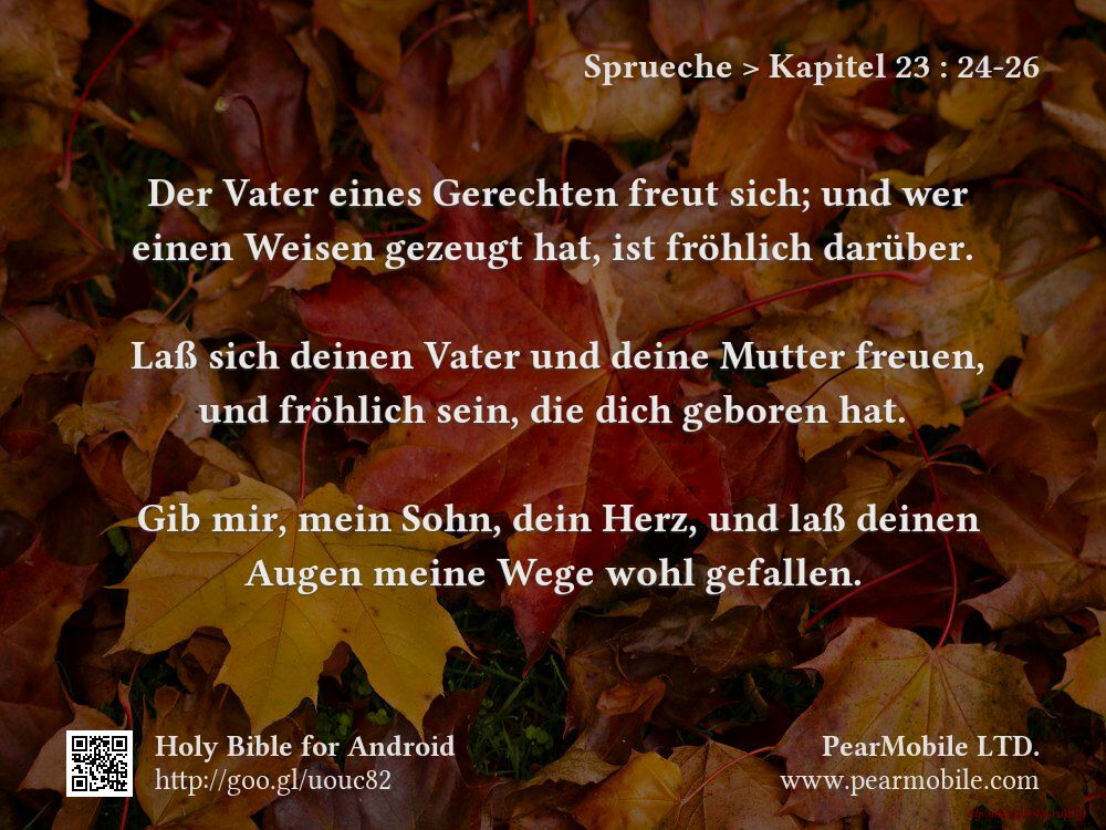 Sprueche, Kapitel 23:24-26